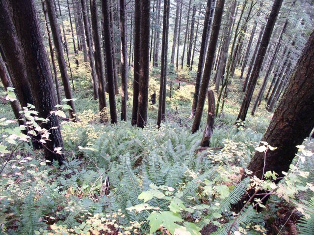 10.28.05 Devil's Rest 111 